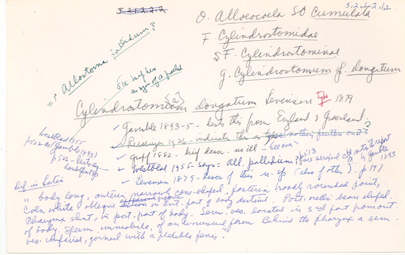 index card
