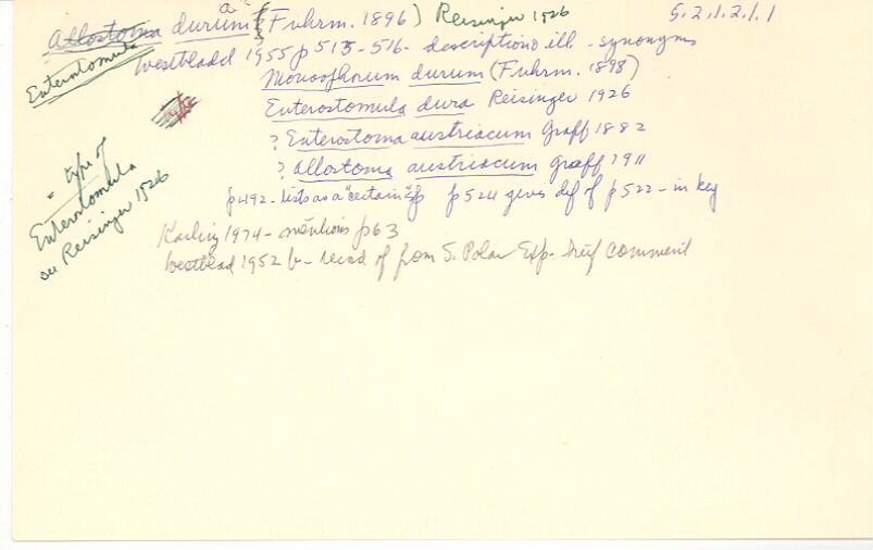 index card
