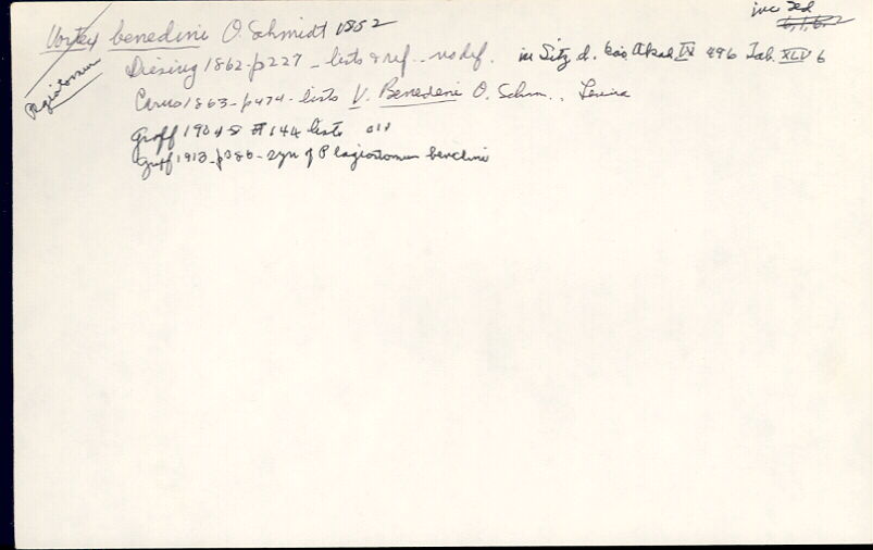 index card