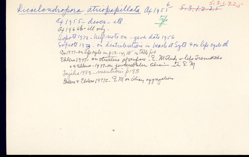 index card