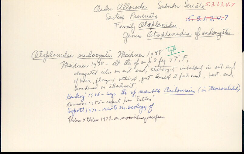 index card