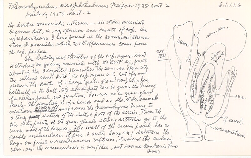 index card