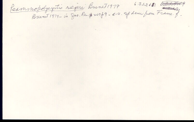 index card