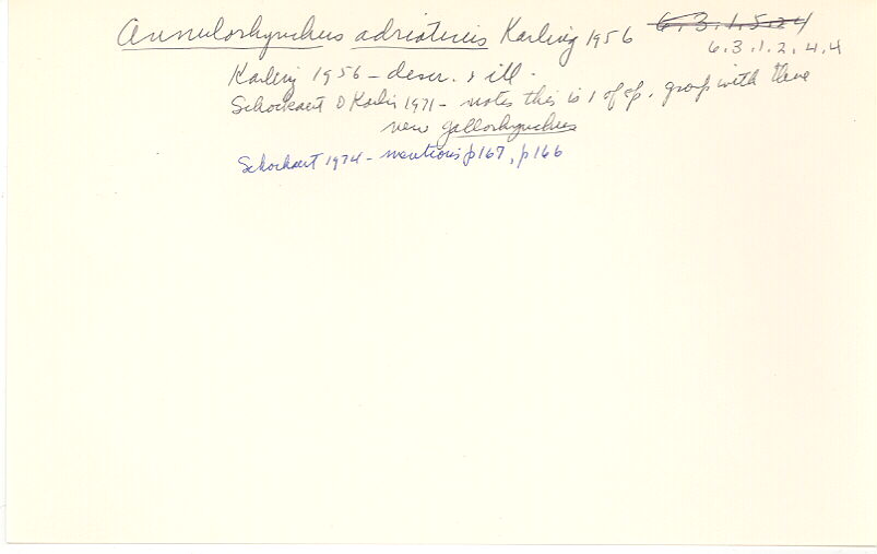 index card