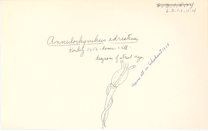 index card