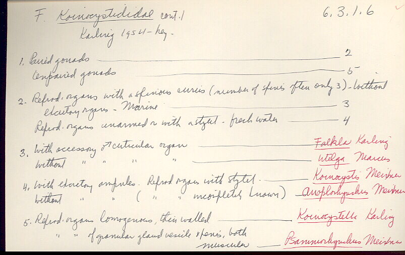 index card