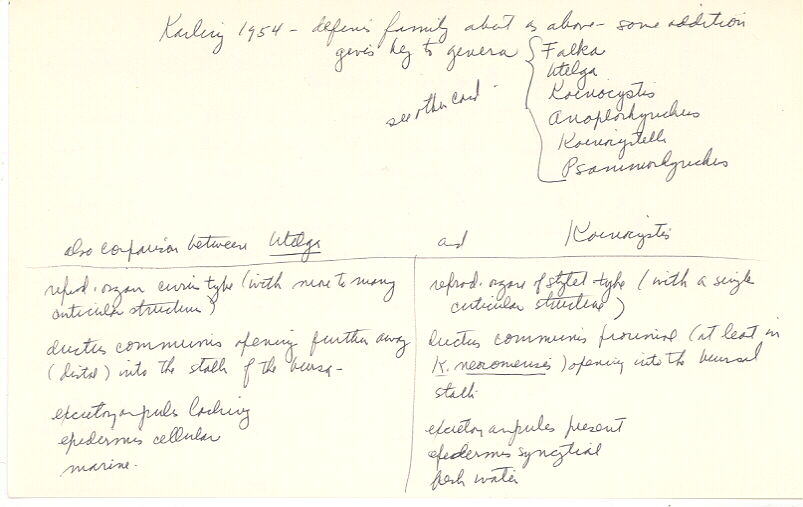 index card