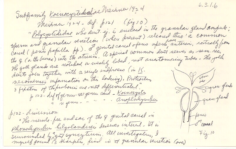 index card