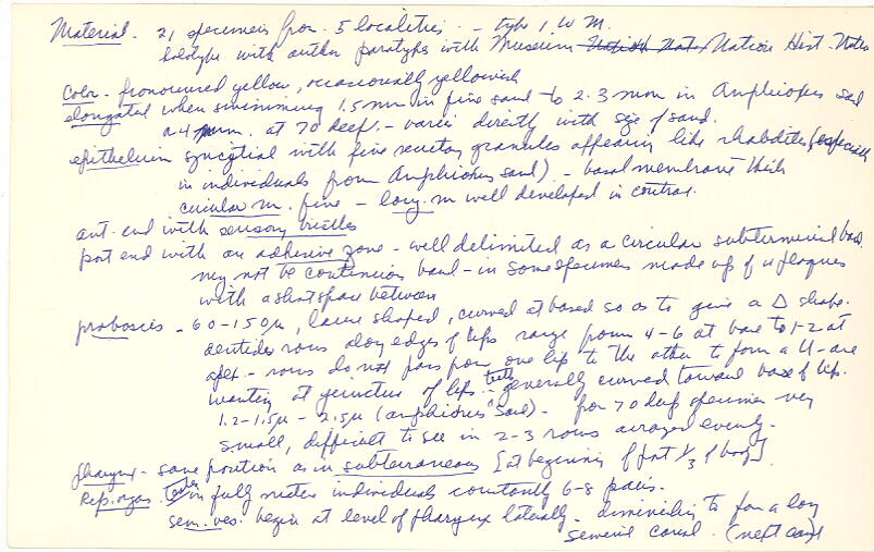index card