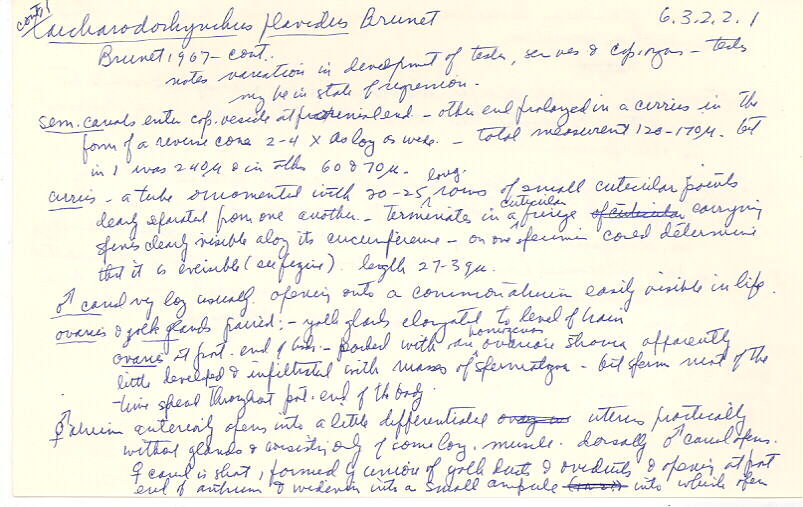 index card