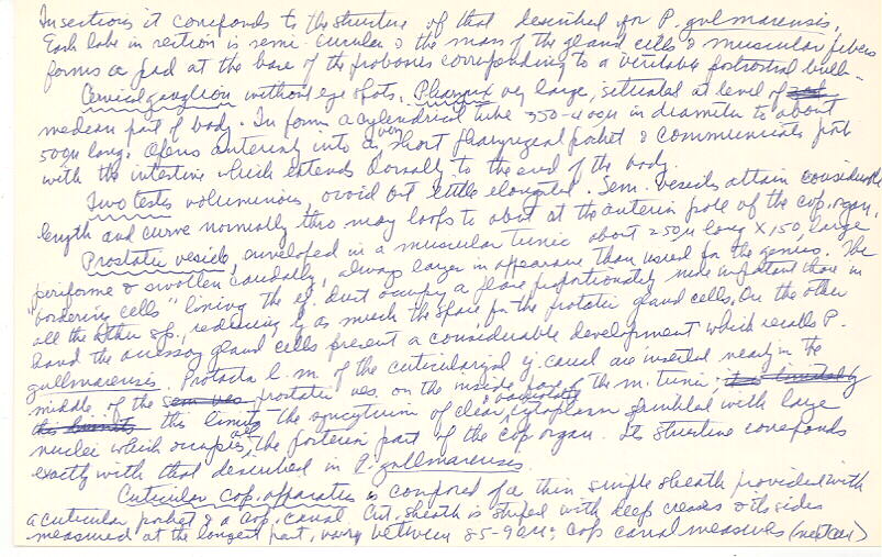 index card