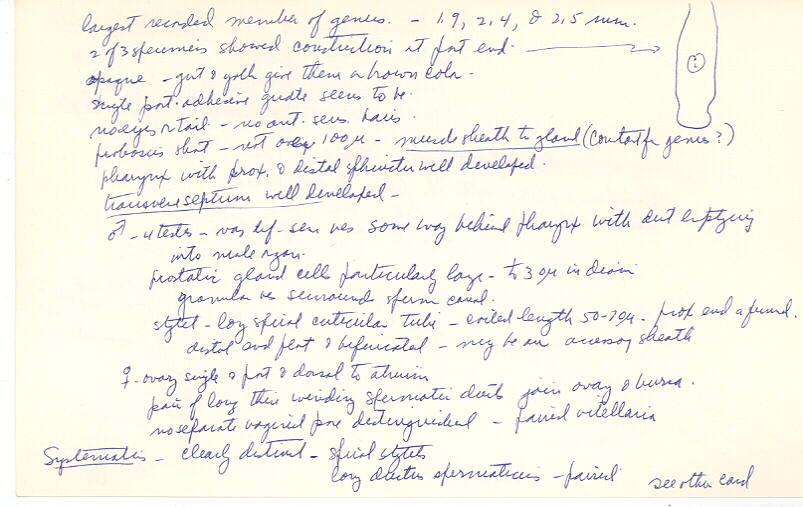 index card