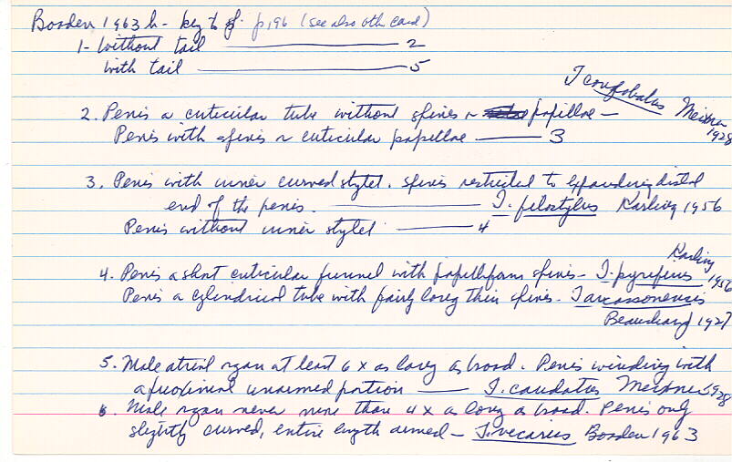 index card