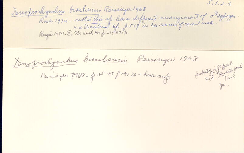 index card
