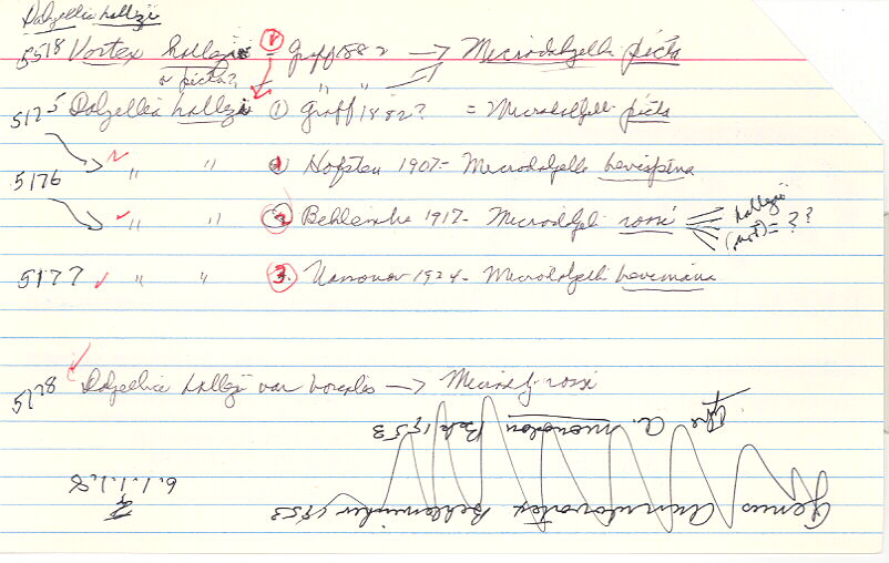 index card