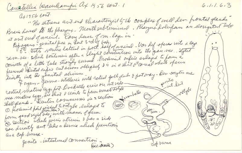index card