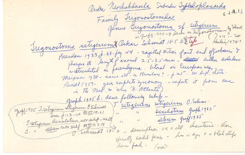 index card