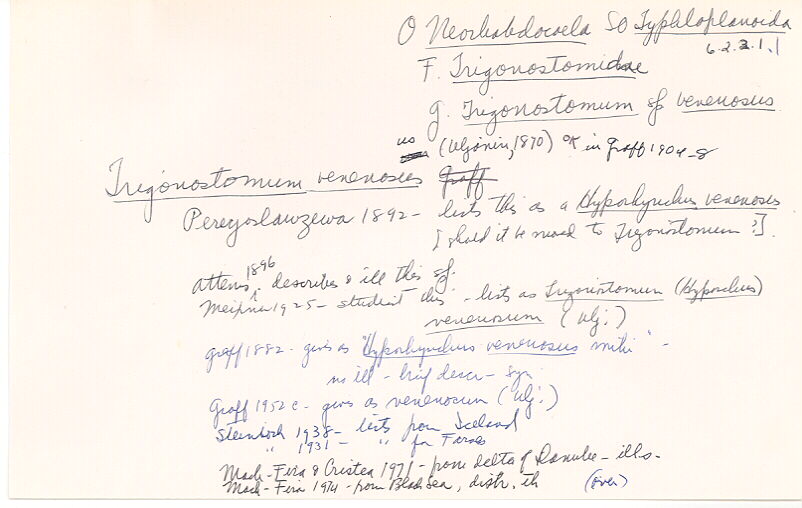 index card