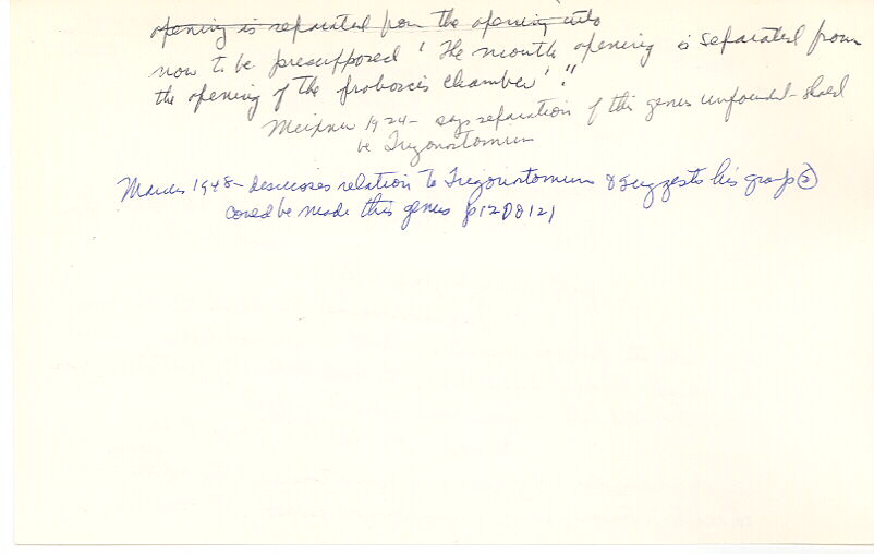 index card