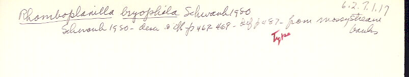index card