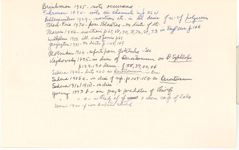 index card