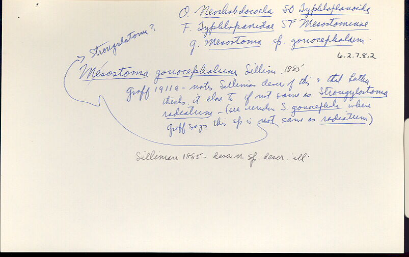 index card