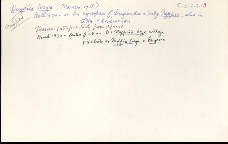 index card