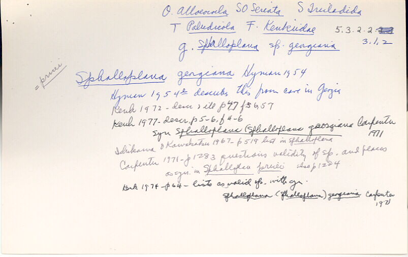 index card
