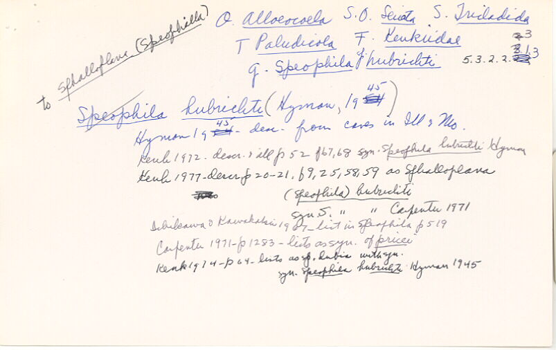 index card