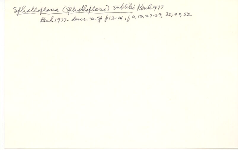 index card