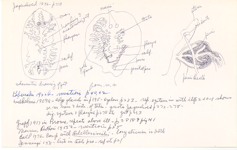 index card