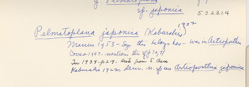 index card