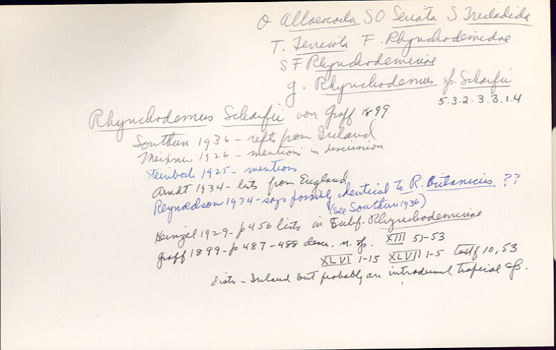 index card
