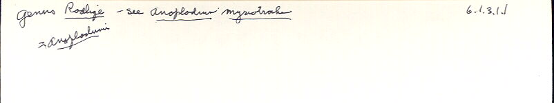 index card