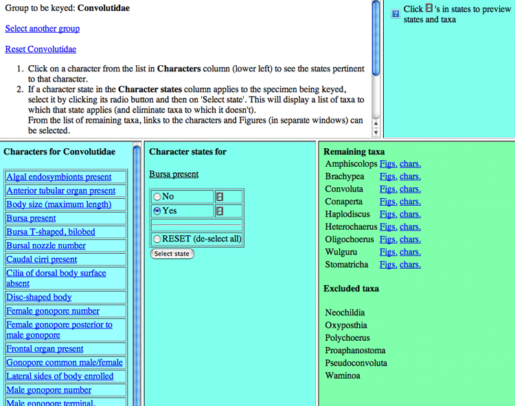 key with one state selected