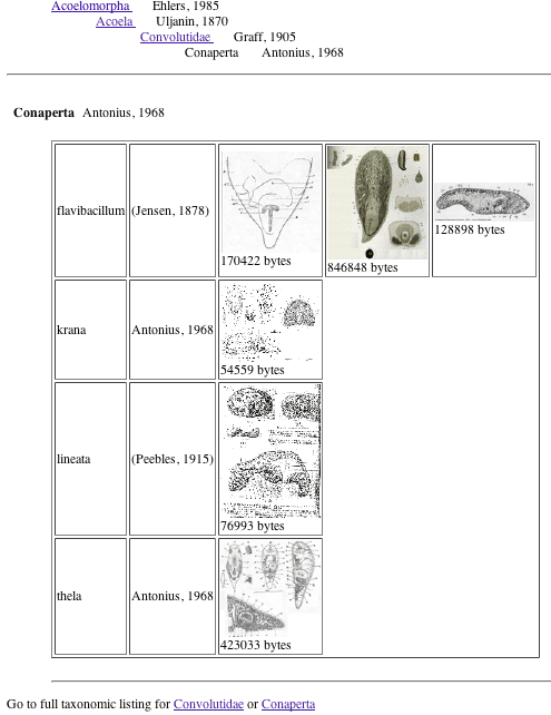 key Fig. list