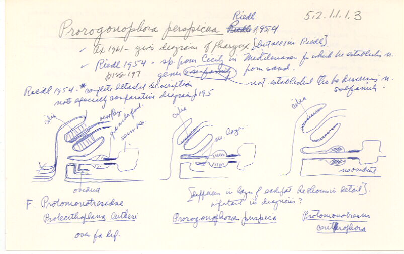 index card