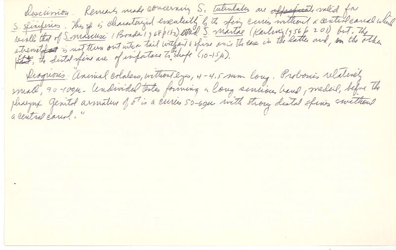 index card