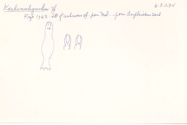 index card