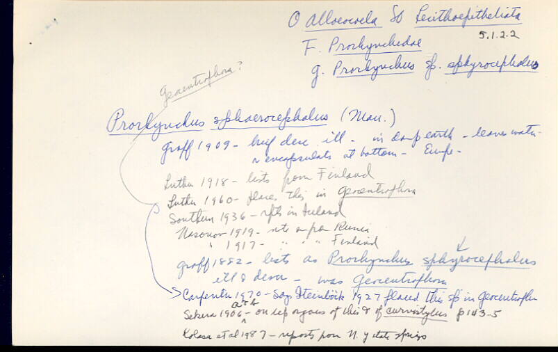 index card
